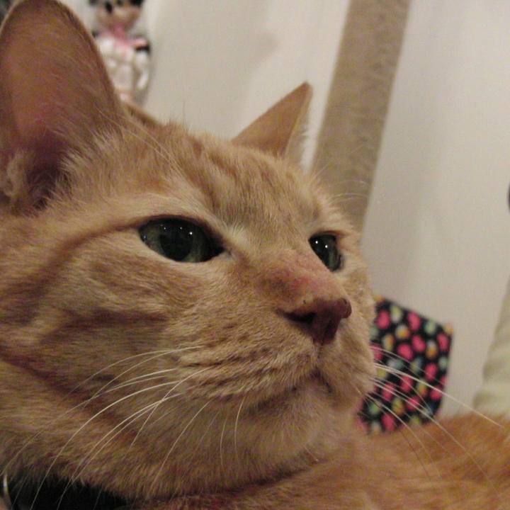 Be361fe8 323f 41f6 b084 c934364a3a8e