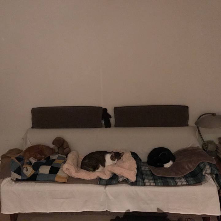 Be363341 b1f8 43eb a3c9 2122a2856fe1