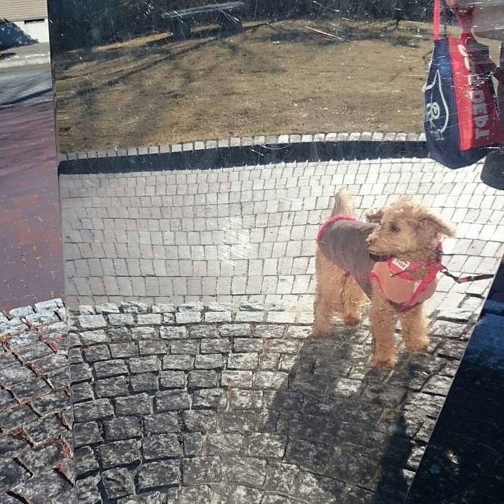 Be3640be 3091 49f7 aed0 3037b481fbc1