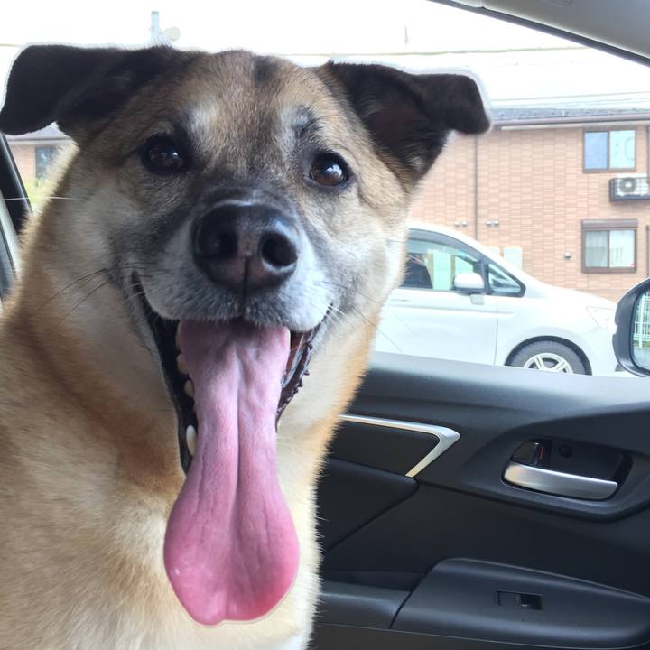 Be367001 7ef1 4803 b053 3c4539e15aff