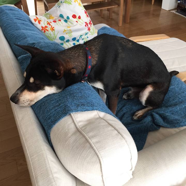 Be368bea c46e 400d bbd5 23a5e981dc1b