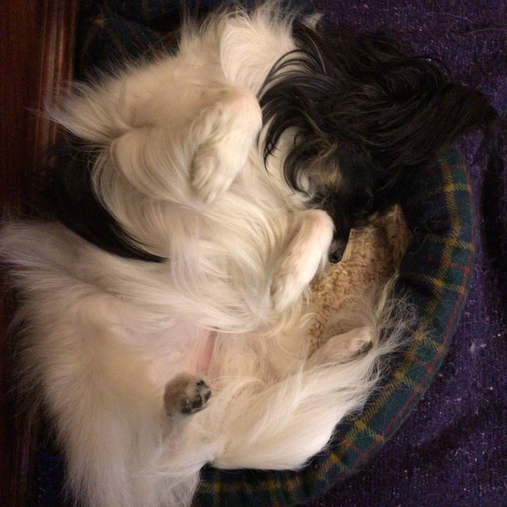 Be36f5f7 a405 4625 95f7 1d4184606196