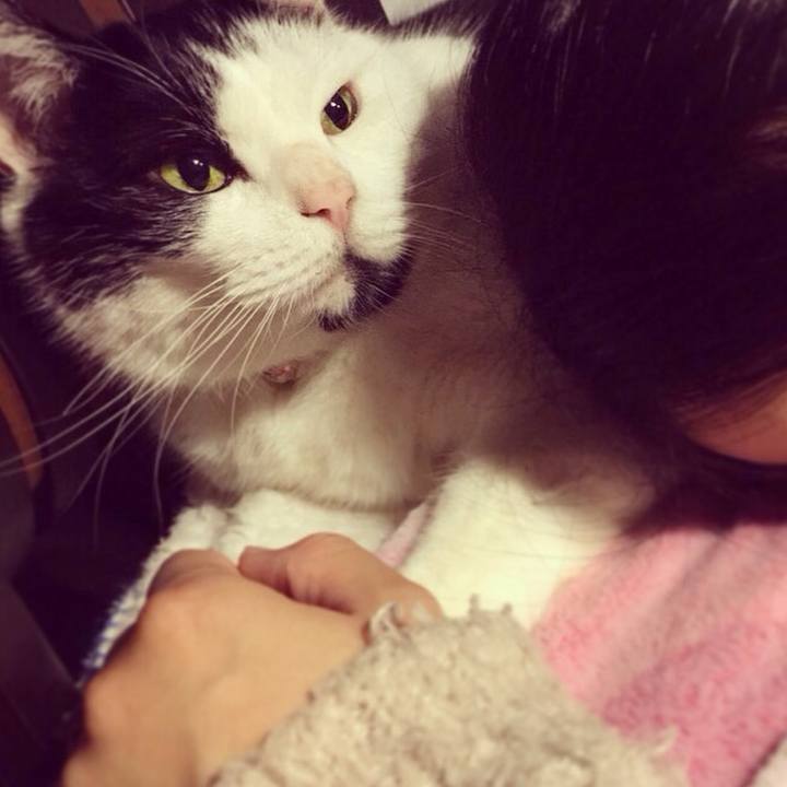 Be391378 2db5 4fbd b7b6 d190414d755d