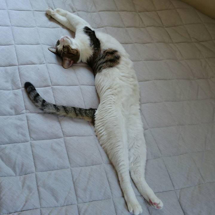 Be392bd7 688a 4f8d bf26 37e2a6fdff9c