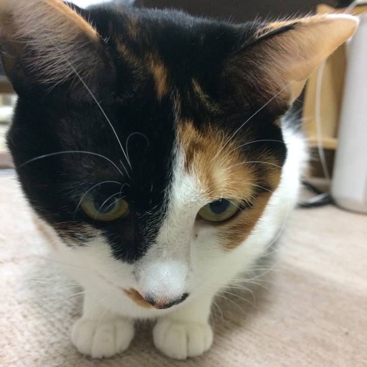 Be39491a 58d3 4b99 ba0b 2fee676be780