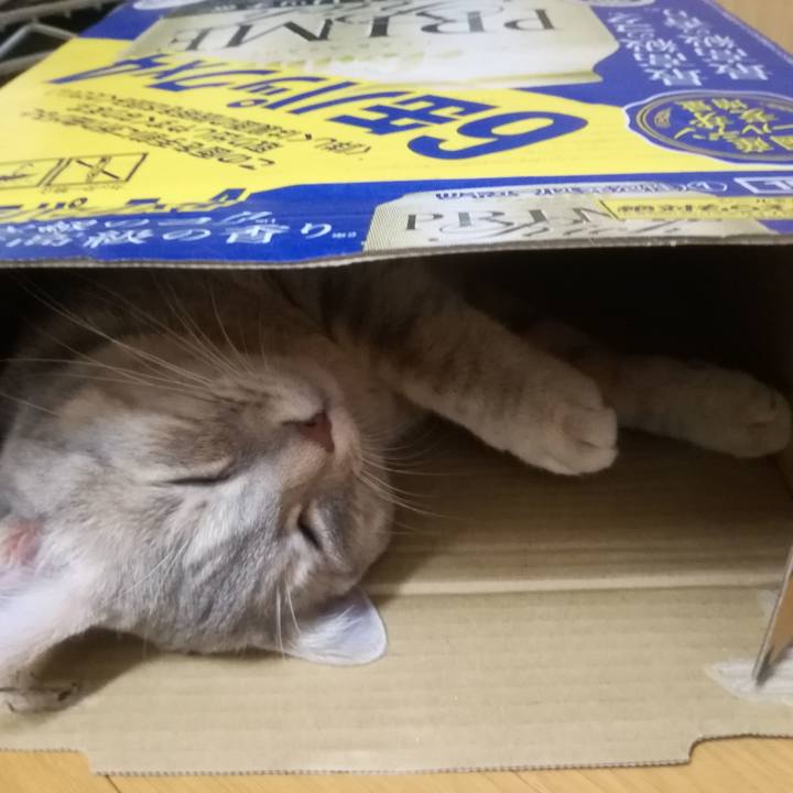 Be394da7 53a7 43df b335 cb695e273c88