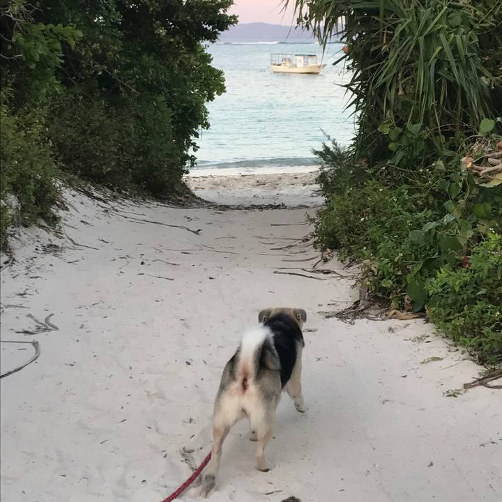 Be399f7a fb01 48de 878e 50715b8695ea