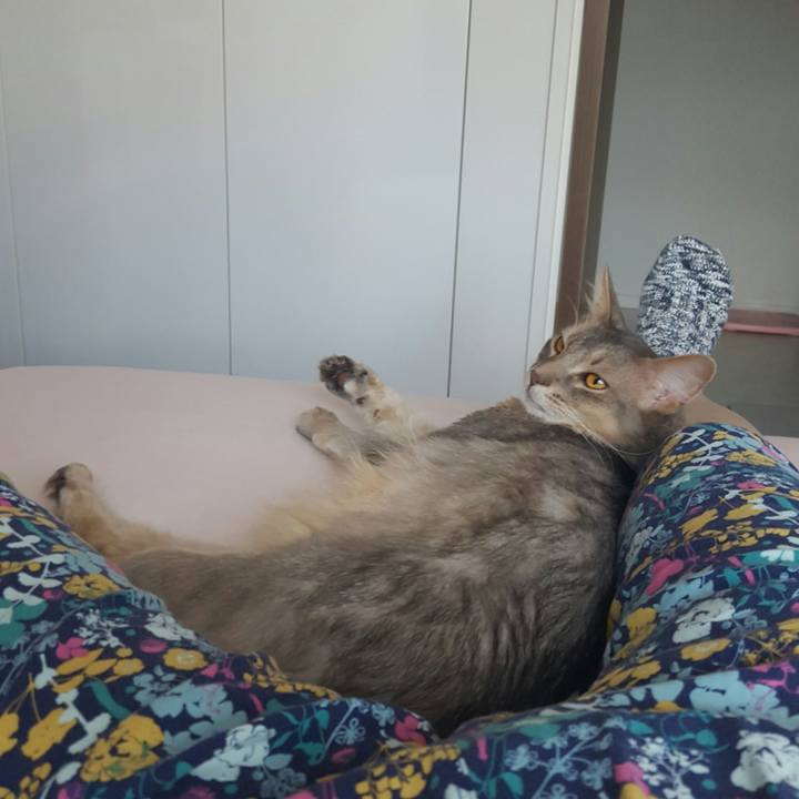 Be39dfcf 0f0b 4939 b112 a904657965c3