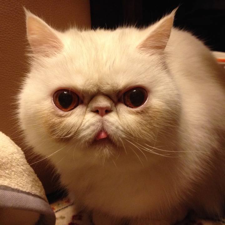 Be39e1bb e70d 48b0 bd35 868b9a667ab7