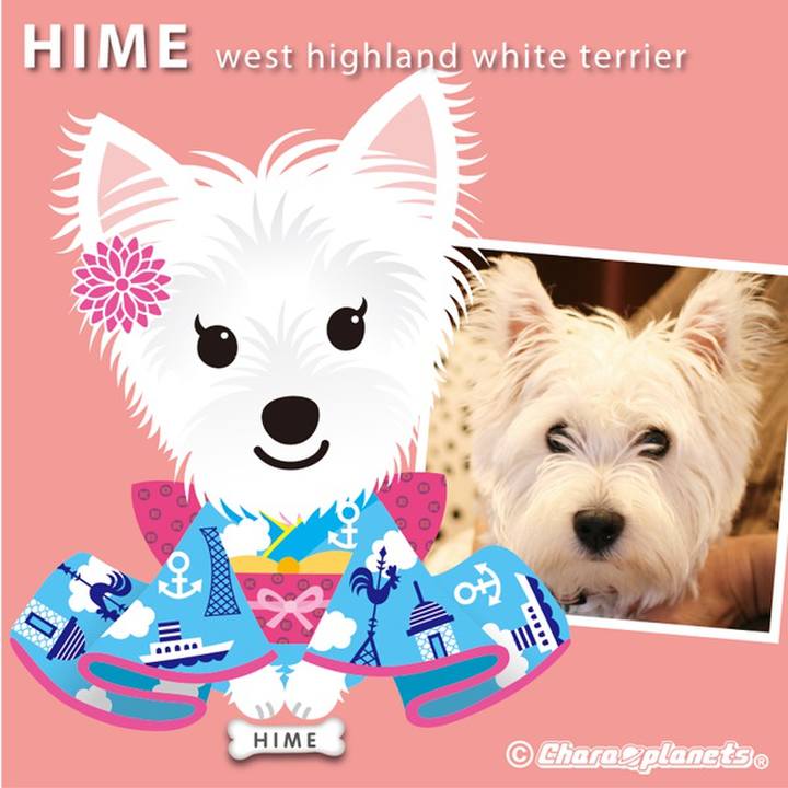 Be3a33d5 3b49 4ada 8a33 a04dfa1f60ee