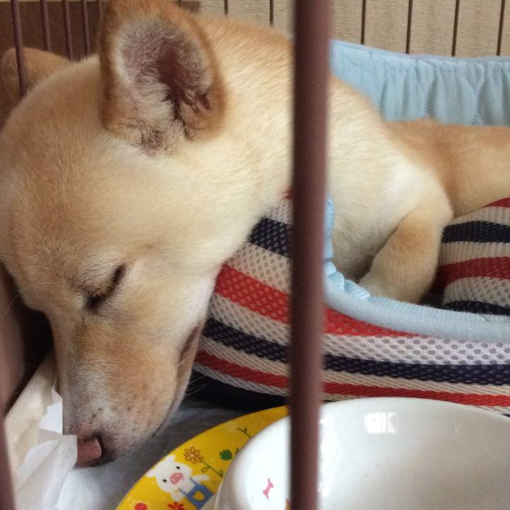 Be3a66e0 7c91 4252 9ba3 04f9e5585695