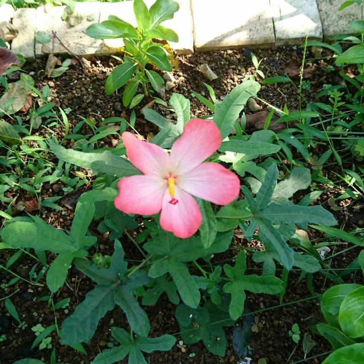 Be3ac9a2 3e1d 4ce1 93c2 a9f7f7cd2278