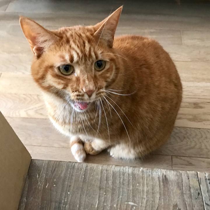 Be3b0ba6 c953 4f81 943a beea91627c1e