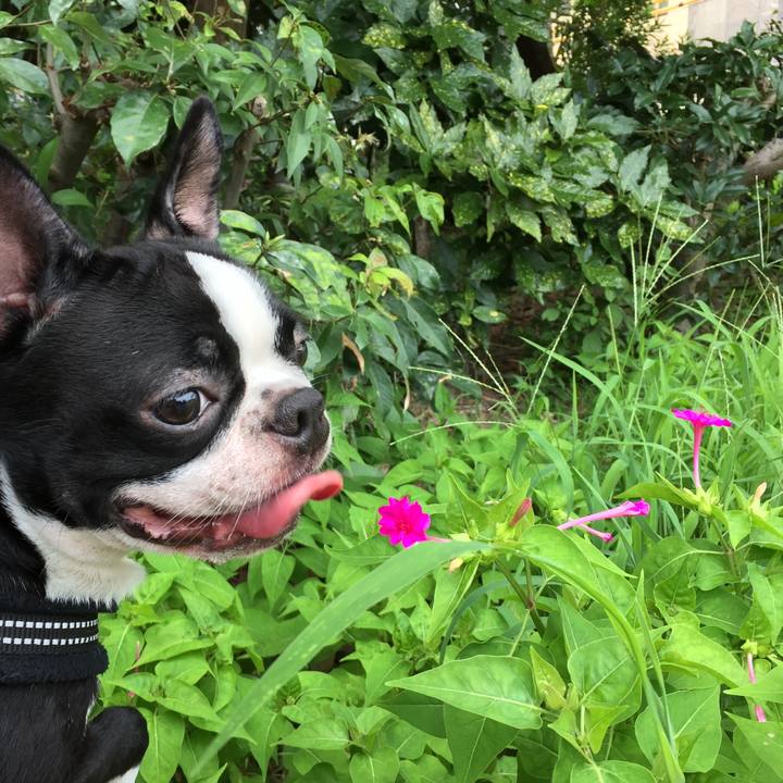 Be3b7ca4 d598 4d7b 9882 e61573f81b42