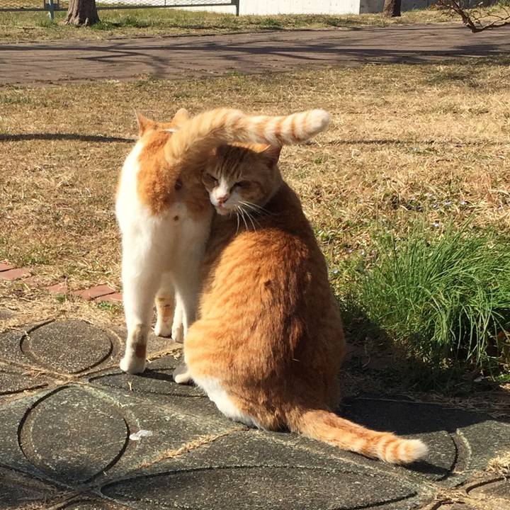 Be3b9e3a 115c 4cc0 b204 3bd6b7e690cc