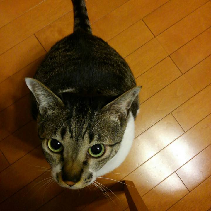 Be3bbf8b 08a7 4b67 af89 714ea4d85b15