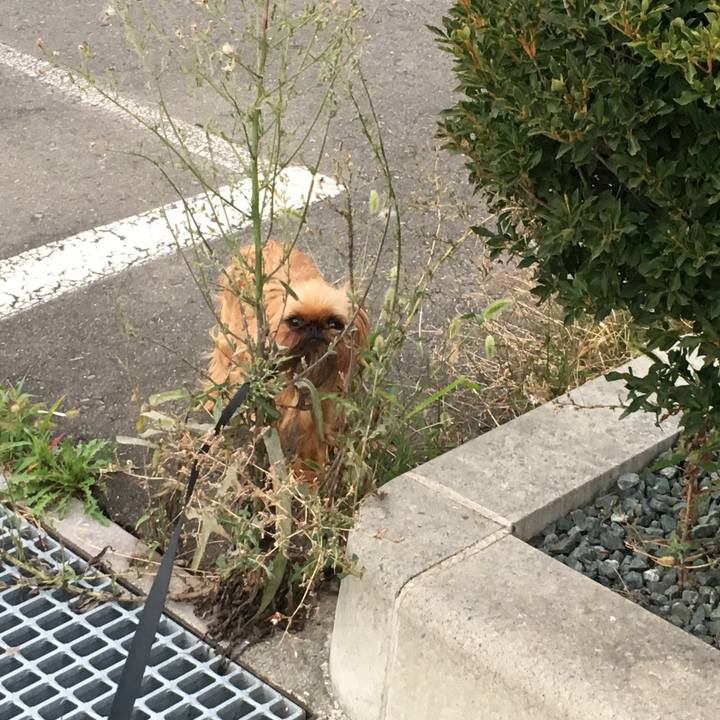 Be3c49b8 5986 4a9a 96c6 e7fad1e9fb5a