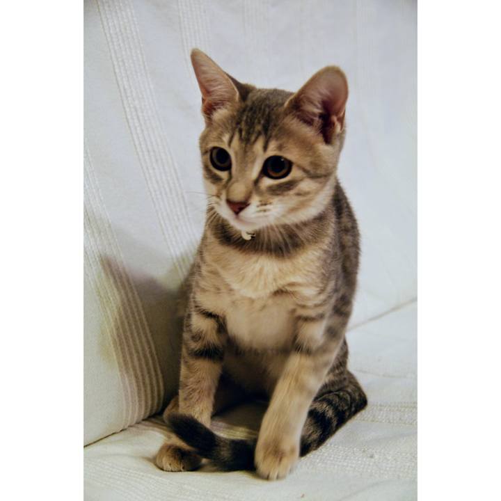 Be3cfdb2 99c1 4b0a 9c81 d0fa4e5eb904