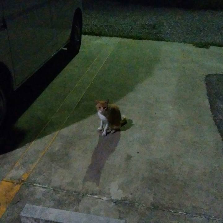 Be3d2d1c 6d30 4ff5 83f6 3945fcc9a8ef