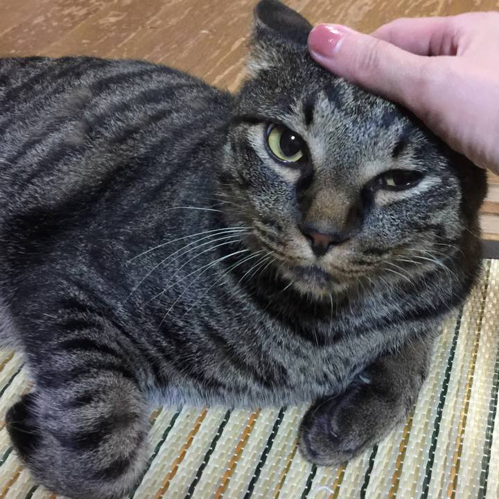 Be3ddded fffd 4b6d 9636 9f9003e8114a