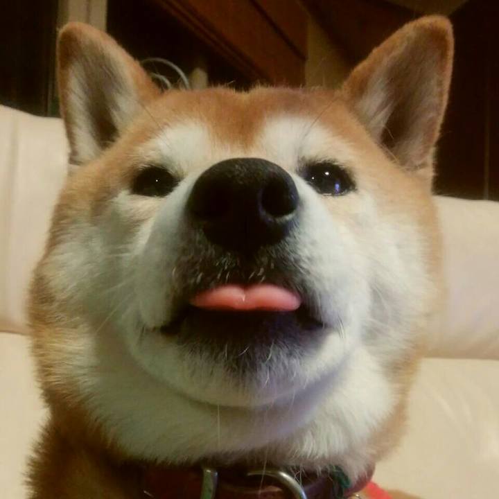 Be3e7622 7441 4133 a1a3 a0f8c1751fce