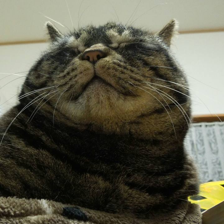 Be3ed4df 597a 49c9 87cf b938de336445