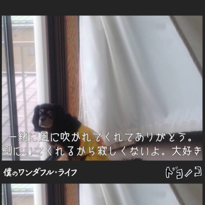 Be3f4979 6b37 409f 9c55 dd81bcc9c457