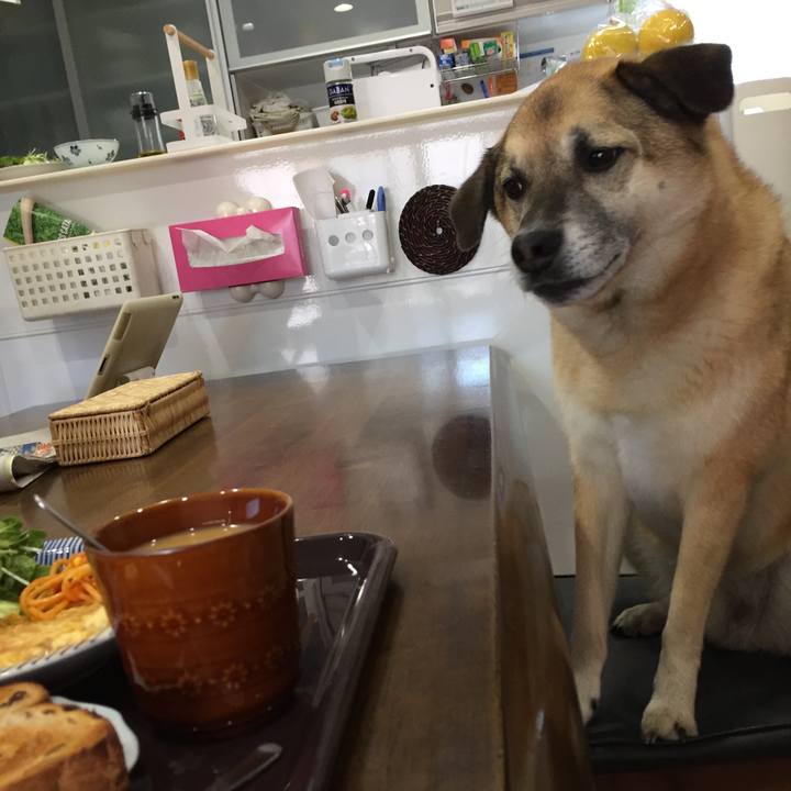 Be3f6ab9 8289 4bed bb18 b63dc9482328