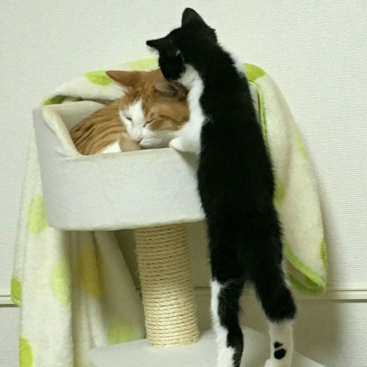 Be401a0c 9c90 4c14 b9e7 cfb259407538