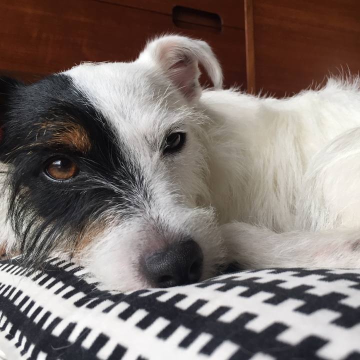 Be40ca8e a98b 4eb7 8c32 07c782ea683d