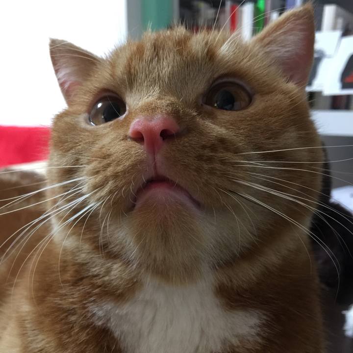 Be40df45 9047 4785 a373 37c894cb2cf4