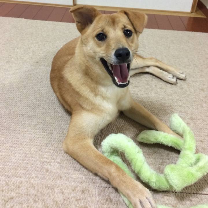 Be410f20 4213 45d7 aff2 ebf978b65914