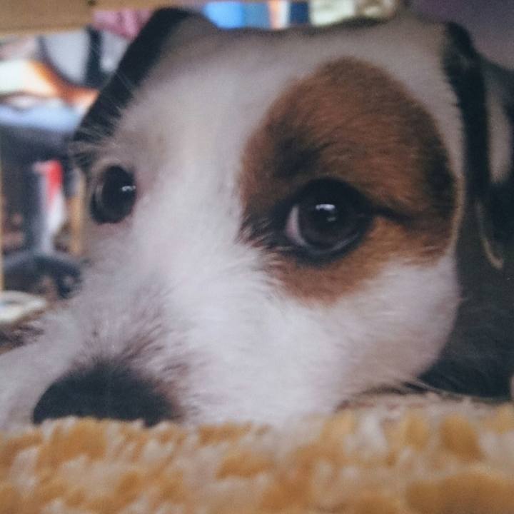 Be418756 a1db 45ac 9234 66c5a334356b