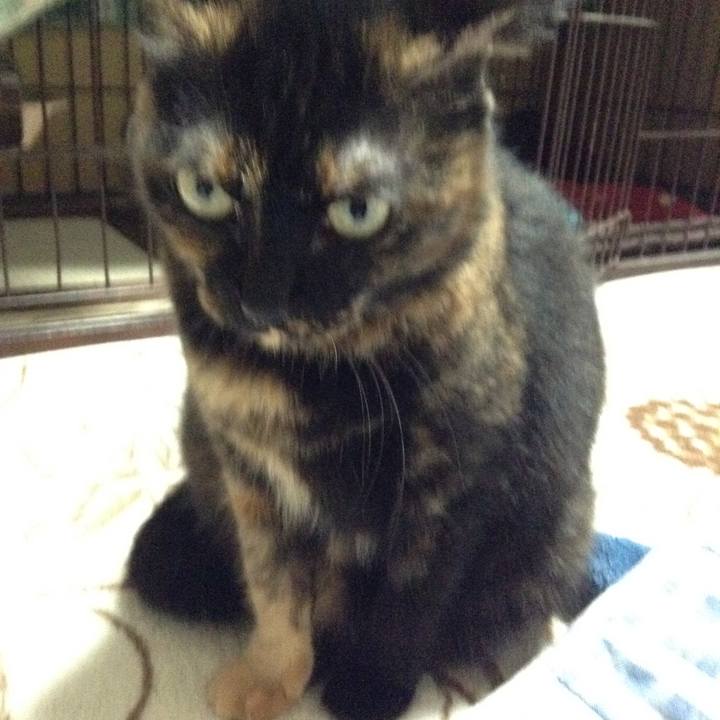 Be418fec 6123 45c6 8b78 da068f71864e