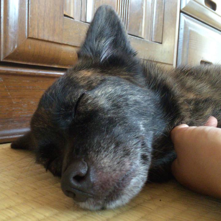 Be41b7bb 2e6c 49e0 8210 7c9959b736d0