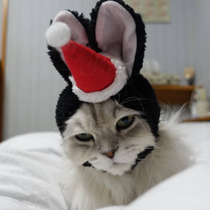 Be41e258 b8a1 4d8e afb1 6a56b1932d03