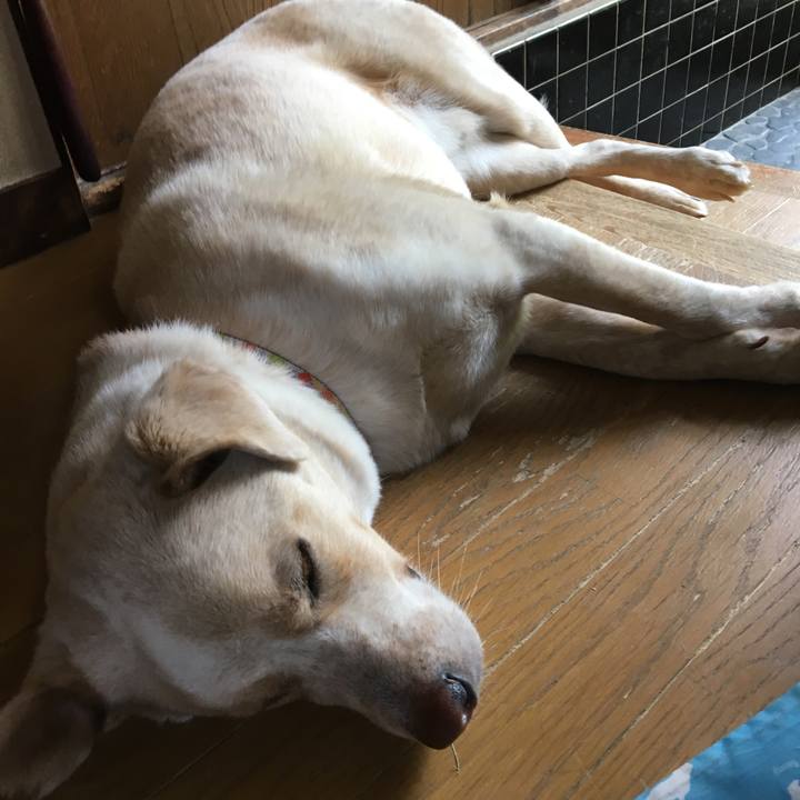 Be4334a4 196f 4da0 958c 74542b6854d2