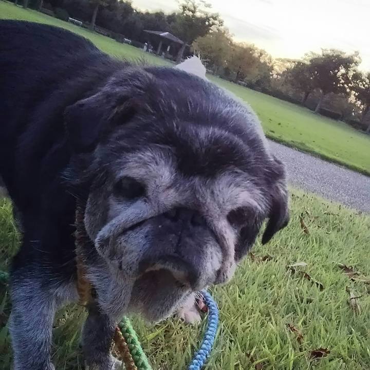 Be45489f 1988 4956 8bdf bd7ceab68331