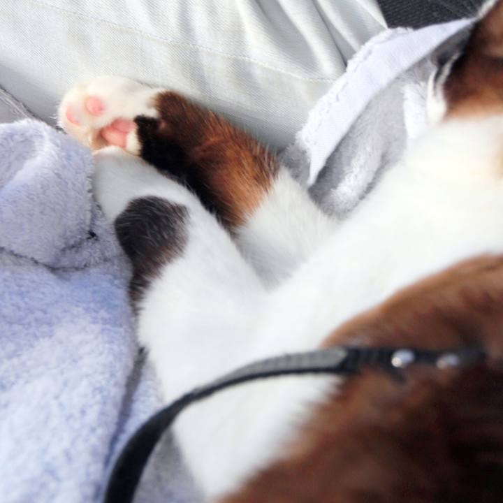 Be457c76 1084 4235 9256 412557872fd2