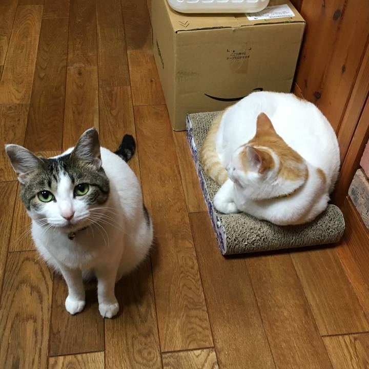 Be45d274 38b2 4546 b06a 2785dfcea6aa