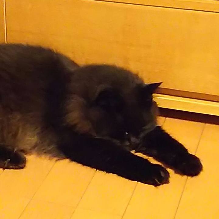 Be4602c9 2a92 4786 ac72 391421755483