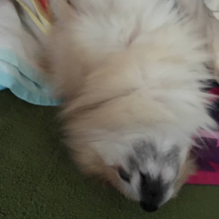 Be4647f0 0542 4ad8 8d48 59c7a9eddc5a