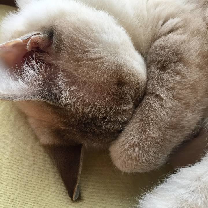 Be46660a 66fb 40b6 9c7c 4b61b11c461b