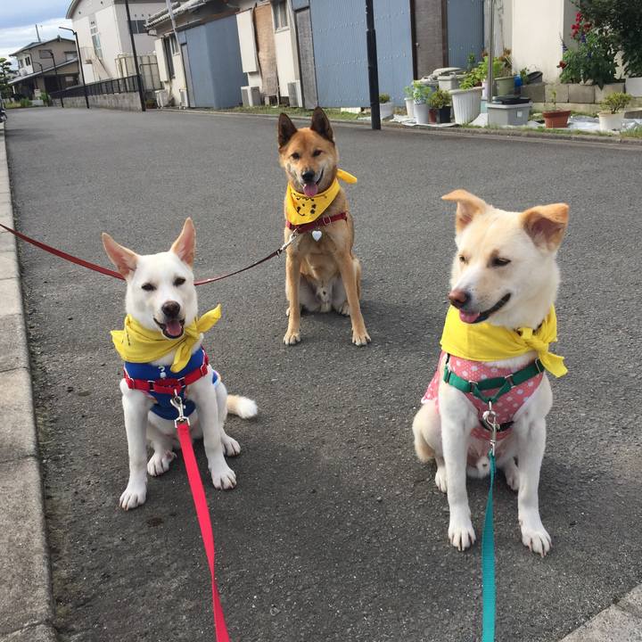 Be46f2c5 91cd 4c7b ba1d 82f28c844d88