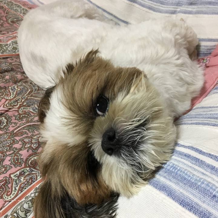 Be47737f 0b8a 4e4c 8be1 96e86f45e1ef