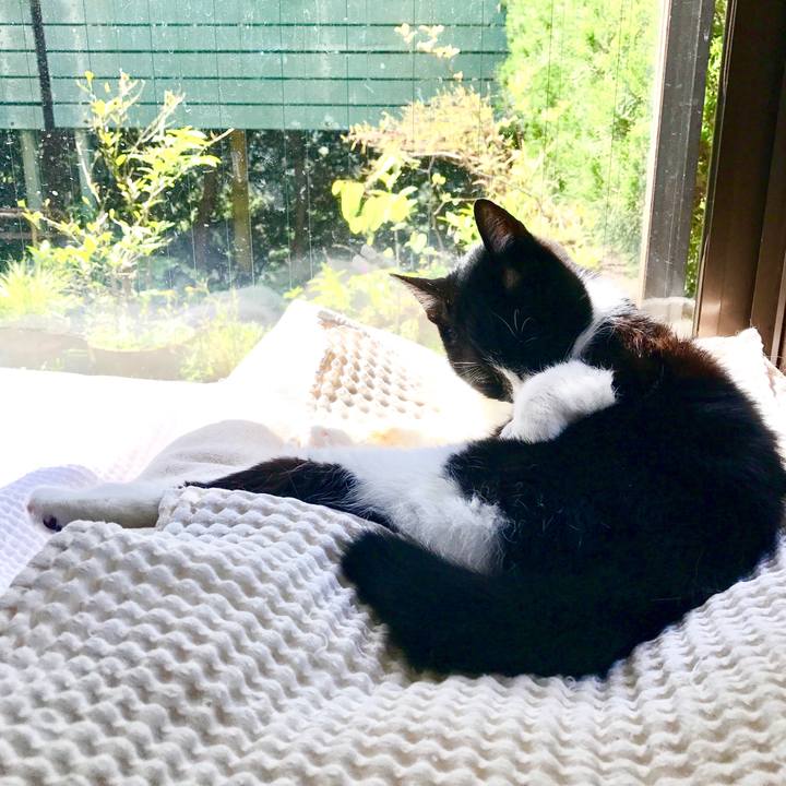 Be4789ac dae5 4ecc b575 008e2e324e16