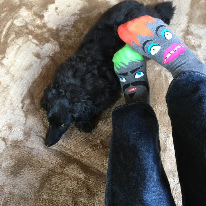 Be47cbdc 71ce 445b 91e8 fa2521dfaf38