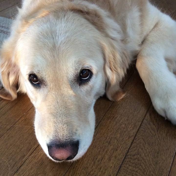 Be48aa8f 0f4e 4f4f a2c5 7efea358b66b