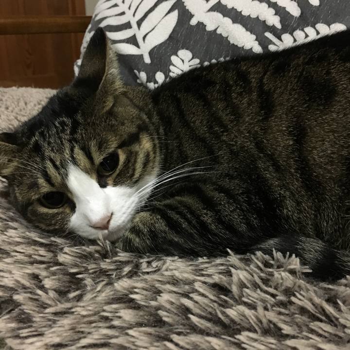 Be49bbed 5b7b 4380 9fc7 0a17f59c4de8