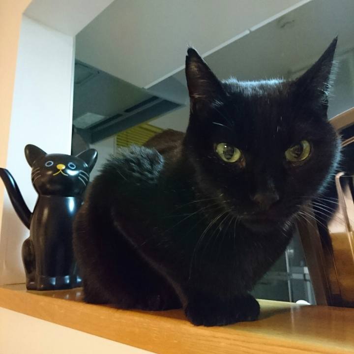 Be49e20e 901c 436e 93e1 cfb84a97ccb8